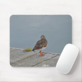 Steenloper Muismat (Met muis)
