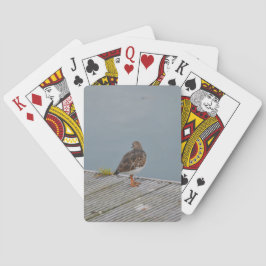 Steenloper Pokerkaarten