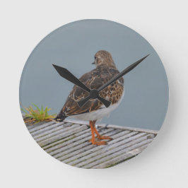 Steenloper Ronde Klok