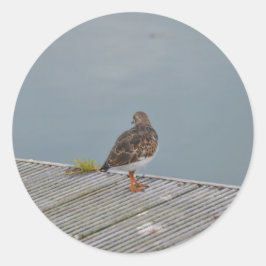 Steenloper Ronde Sticker
