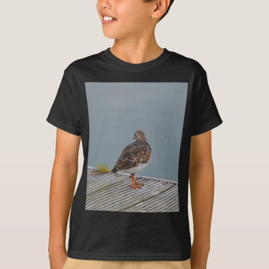 Steenloper T-shirt (Voorkant)