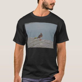 Steenloper T-shirt