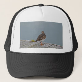 Steenloper Trucker Pet