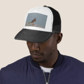 Steenloper Trucker Pet (In situ)
