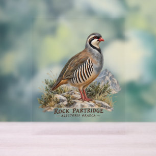 Steenpatrijs, Alectoris Graeca Jacht Vogels Acryl Bord