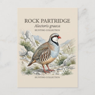 Steenpatrijs, Alectoris Graeca Jacht Vogels Feestdagenkaart