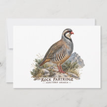 Steenpatrijs, Alectoris Graeca Jacht Vogels