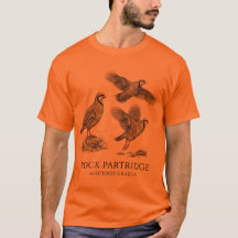 Steenpatrijs, Alectoris Graeca Jacht Vogels
