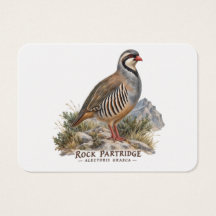 Steenpatrijs, Alectoris Graeca Jacht Vogels
