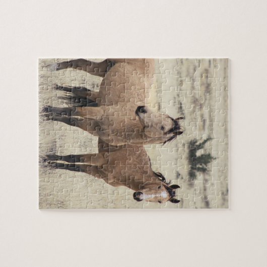 Steens Mustangs Puzzle (Horizontal)