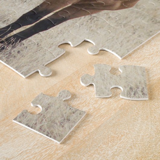 Steens Mustangs Puzzle (Côté)
