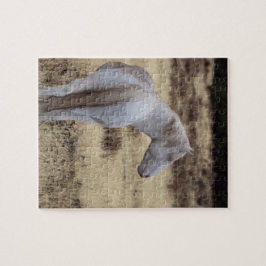 Steens Mustangs Puzzle (Horizontal)