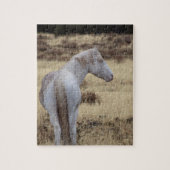 Steens Mustangs Puzzle (Vertical)