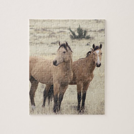 Steens Mustangs Puzzle Legpuzzel (Verticaal)