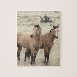 Steens Mustangs Raadsel Legpuzzel