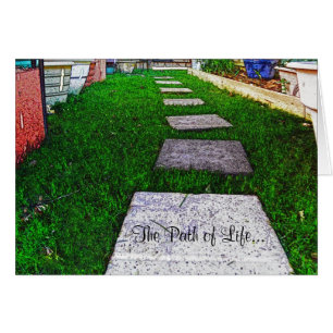 Steenstomen van Shirley Taylor