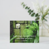 Steentuin: Aristoteles - Briefkaart (Staand voorkant)