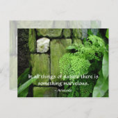 Steentuin: Aristoteles - Briefkaart (Voorkant / Achterkant)