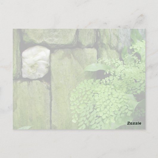 Steentuin: Aristoteles - Briefkaart (Achterkant)