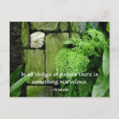 Steentuin: Aristoteles - Briefkaart (Voorkant)