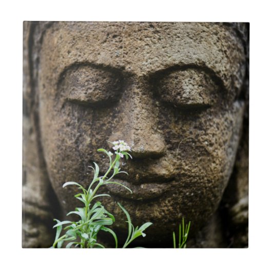 Steentuinbeeld met bloem tegeltje (Voorkant)