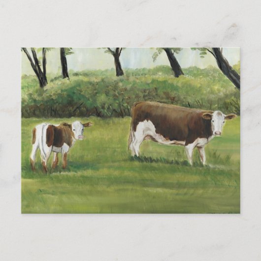 Steer en Calf Art Briefkaart (Voorkant)