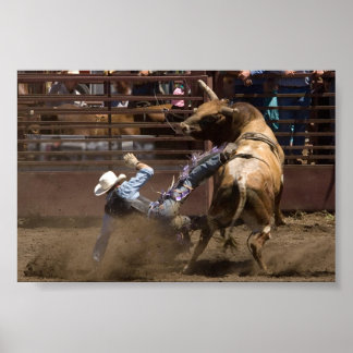 Steer rider neemt een herfst poster