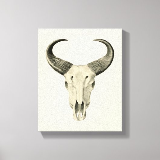 Steer Skull Canvas afdrukken (Voorkant)