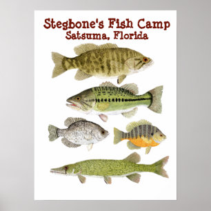 Stegbone's viskamp poster