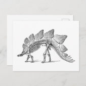 Stegosaurus Dinosaur Skeleton Fossil Briefkaart (Voorkant / Achterkant)