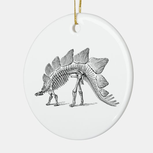 Stegosaurus Dinosaur Skeleton Fossil Keramisch Ornament (Links)
