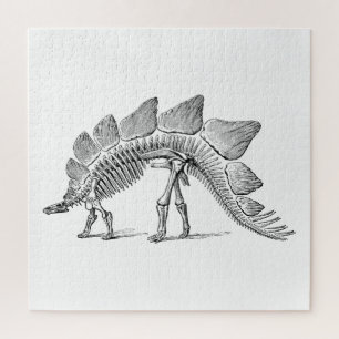 Stegosaurus Dinosaur Skeleton Fossil Legpuzzel