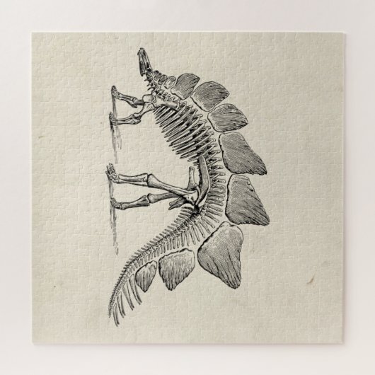 Stegosaurus Dinosaur Skeleton Fossil Legpuzzel (Horizontaal)
