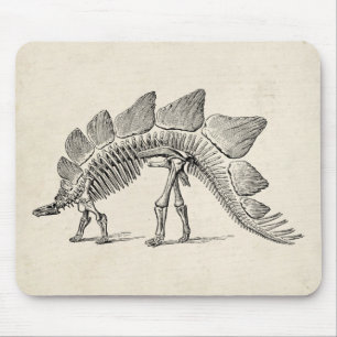 Stegosaurus Dinosaur Skeleton Fossil Muismat