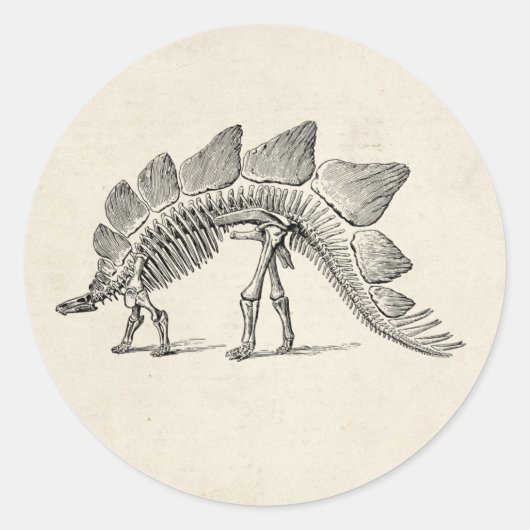 Stegosaurus Dinosaur Skeleton Fossil Ronde Sticker (Voorkant)