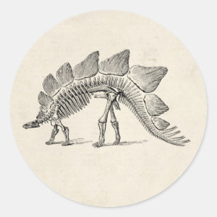 Stegosaurus Dinosaur Skeleton Fossil Ronde Sticker