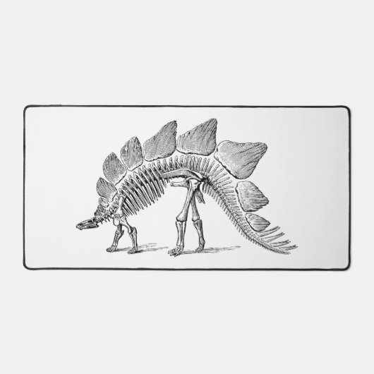 Stegosaurus Dinosaure Squelette Fossile (Recto)