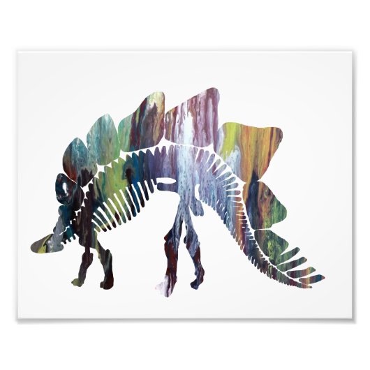 Stegosaurus Foto Afdruk (Voorkant)