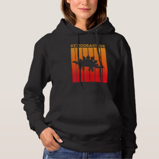 Stegosaurus Shadow Silhouette At Sunset Hoodie