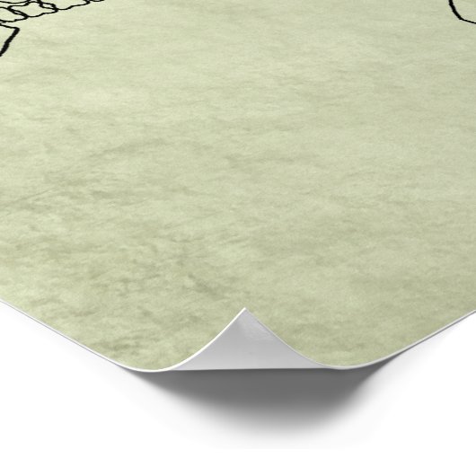 Stegosaurus Skeleton Poster (Hoek)