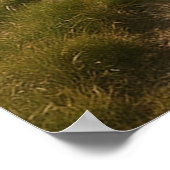 steigermedia poster (Hoek)