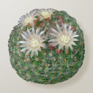 Stekelige Bloeiende Natuurlijke Groene Cactus Rond Kussen