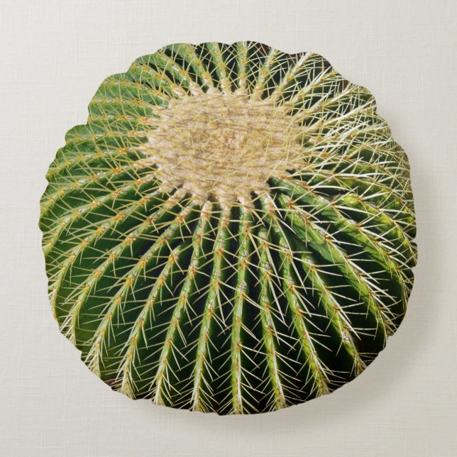 Stekelige Cactus Kussen (Voorkant)