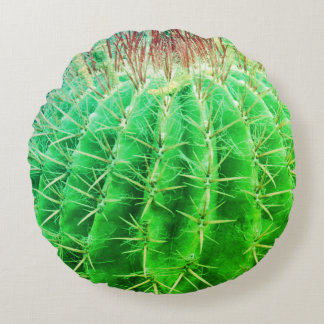 Stekelige Look Natuurlijke Groene Cactus Rond Kussen