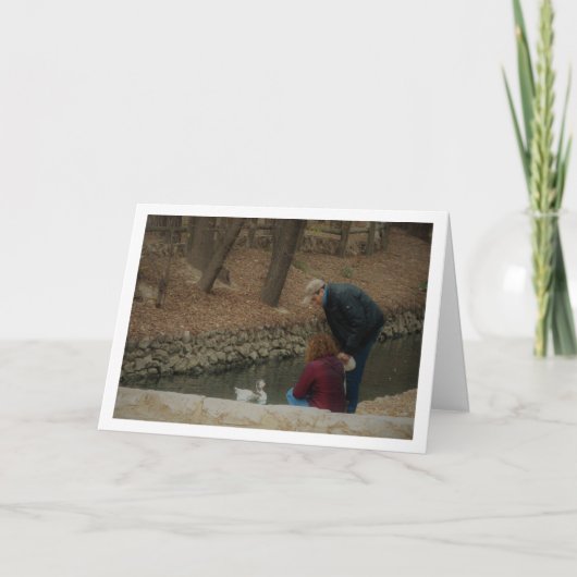 Stel dat eend voert in het San Vicente-park Kaart (Voorkant)