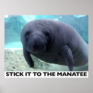 STEL HET AAN HET MANAAT poster