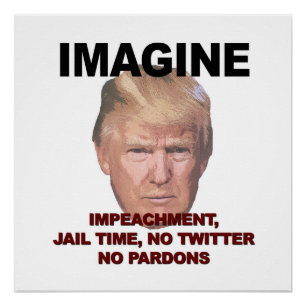 Stel je voor: Impeachment, Jail, Geen Twitter, gee Perfect Poster