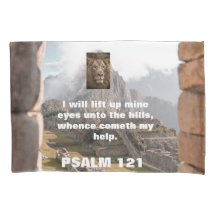 Stel je voor, wit, leeuw, toewijding, bijbel,