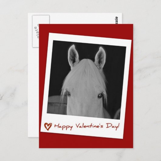 Stella Briefkaart (Voorkant / Achterkant)