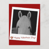 Stella Briefkaart (Voorkant)